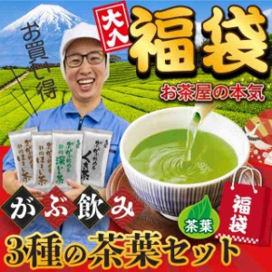 福袋 お茶 飲み比べ お試し 日本茶 緑茶  ほうじ茶 静岡茶 詰め合せ 300g 3種の大入り がぶ飲み茶葉セット メール便 送料無料 茶葉 ギフ