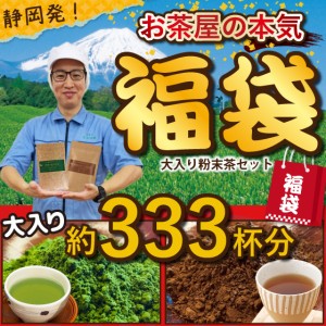 福袋 粉末 お茶 緑茶 ほうじ茶 静岡茶 詰め合せ 大入り粉末茶セット(緑茶100g×1袋、ほうじ茶100g×1袋) 送料無料 新春 お徳用 お得 茶葉