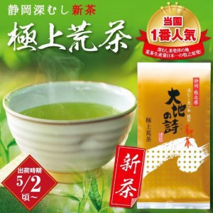 静岡新茶 2024 緑茶 お茶 高級茶 上級茶 静岡茶 荒茶 極上荒茶 100g 深蒸し茶  静岡深むし新茶  日本茶 プレゼント 茶葉 お土産 ギフト 