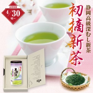 静岡新茶 2024 ギフト 初摘 新茶 100g 紙缶箱入 予約 ギフト お茶 緑茶 日本茶 静岡茶 国産 牧之原産 プレゼント 茶葉 荒畑園 深蒸し新茶