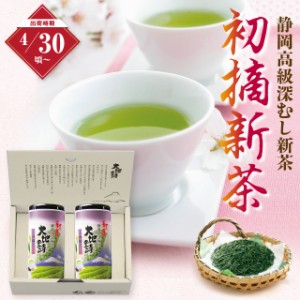 静岡新茶 ギフト 初摘新茶 100g 紙缶入×2本箱入 予約 ギフト お茶 緑茶 日本茶 静岡茶 国産 牧之原産 プレゼント 茶葉 荒畑園 深蒸し新