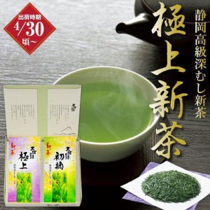 静岡新茶 2024 ギフト 極上・初摘 新茶 100g入×2袋箱入 送料無料 平袋 予約 お茶 緑茶 日本茶 静岡茶 国産 牧之原産 プレゼント 茶葉 荒