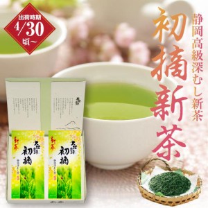 静岡新茶 2024 ギフト 初摘 新茶 100g入×2袋箱入 平袋 予約 ギフト お茶 緑茶 日本茶 静岡茶 国産 牧之原産 プレゼント 茶葉 荒畑園 父 