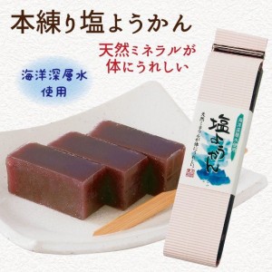 羊羹 羊かん 塩羊かん 塩ようかん 和菓子 お茶うけ 本練り塩羊かん 300ｇ 贈り物 贈答 ギフト プレゼント