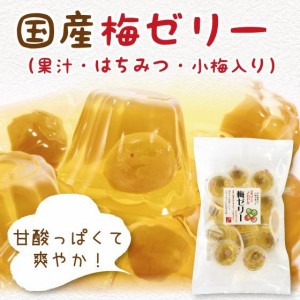 ゼリー 国産 梅ゼリー（梅果汁・はちみつ・小梅入り） 25g×11個入り