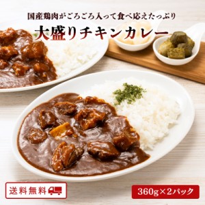 大盛 チキンカレー 360g×2パック 国産 レトルト B級グルメ ご当地グルメ 常温 保存 送料無料