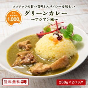 ＼1000円ポッキリ 送料無料／アジアン風 グリーンカレー 200g×2パック グリーンカレー タイ料理 タイ風 カレー レトルト B級グルメ タイ