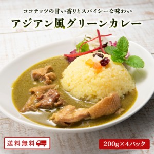 アジアン風 グリーンカレー 200g×4パック グリーンカレー タイ料理 タイ風 カレー レトルト B級グルメ タイ タイカレー 常温 保存 人気 