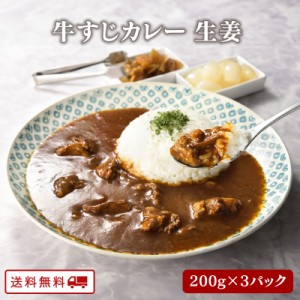 新発売 牛すじカレー（しょうが味）200g×3パック 九州 ご当地 グルメ 保存食 非常食 牛すじがごろごろ お送料無料 取り寄せ 常温保存 レ