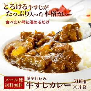 累計20万食突破！ 牛すじカレー 200ｇ×3パック レトルト カレー 常温保存 送料無料 スパイス ポイント消化 カレー粉 ギフト お試し レン