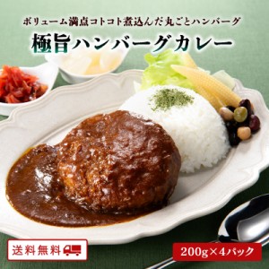 極旨 ハンバーグカレー 200g×4パック 国産 カレー ハンバーグ レトルト B級グルメ ご当地グルメ 常温 保存 送料無料