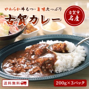 牛もつ入り 古賀カレー200g×3パック レトルト 食品 惣菜 おかず カレー 常温保存 送料無料 お取り寄せ 常温保存 レトルト ご当地カレー 