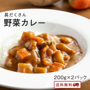 具だくさん野菜カレー 200g×2パック レトルト カレー 常温保存 スパイス カレー ポイント消化 カレー粉 ギフト ご当地グルメ 詰め合わせ