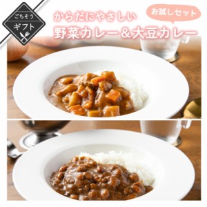 からだにやさしい野菜カレー＆大豆カレー ギフトセット 高級 酒の つまみ 食べ物 手土産 常温 夏 会社 職場 小分け お酒 ビール 日本酒 