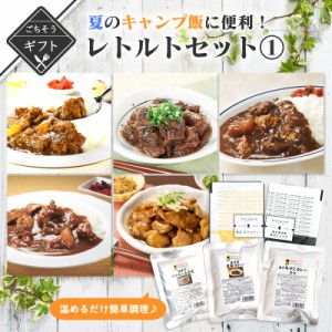 キャンプ好きの方に！夏のキャンプ飯に便利なレトルトセット1 送料無料 2023 高級 酒の つまみ 食べ物 手土産 常温 夏 会社 職場 小分け 