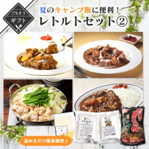 キャンプ好きの方に！夏のキャンプ飯に便利なレトルトセット２ 送料無料 2023 高級 酒の つまみ 食べ物 手土産 常温 夏 会社 職場 小分け