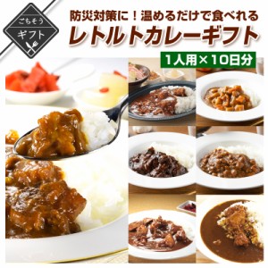 防災対策に！レトルトで温めるだけで食べれるカレーギフト　1人用×10日分 詰め合わせ 送料無料 災害 備蓄 保存食 常温 保存