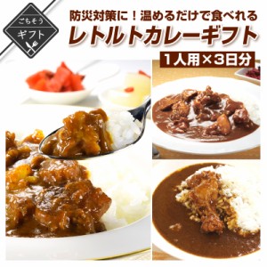 防災対策に！レトルトで温めるだけで食べれるカレーギフト 1人用×3日分 詰め合わせ 送料無料 2023 高級 酒の つまみ 食べ物 手土産 常温