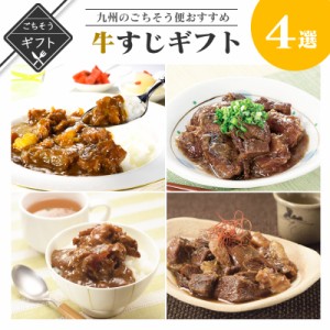 九州のごちそう便 牛すじギフト 詰め合わせ 送料無料 2023 高級 酒の つまみ 食べ物 手土産 常温 夏 会社 職場 小分け お酒 ビール 日本