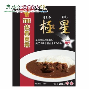  極星カレー （佐賀県産和牛） 200g 2個セット　 産地直送