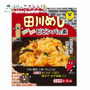 田川めし （ビビンバの素） 100g 2個セット　 産地直送