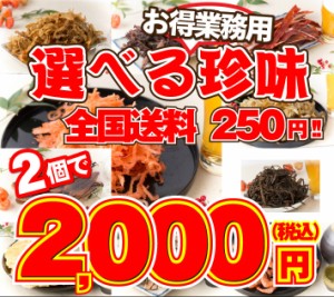 選べる珍味 2個セット 送料無料 おつまみ 珍味 業務用 大容量