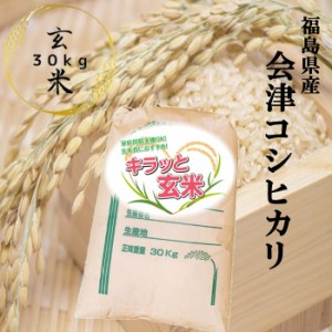 玄米 米 30kg 会津コシヒカリ お米 30kg×1袋 キラッと玄米 令和5年産 福島県会津産 調整済み玄米 送料無料 こしひかり 米 30キロ【沖縄