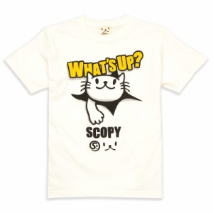 Tシャツ メンズ レディース 半袖 猫 WHAT'S UP? - バニラホワイト ネコ ねこ 猫柄 雑貨 - メール便 - SCOPY スコーピー
