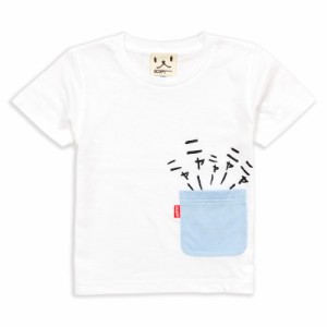 キッズ Tシャツ 半袖 猫 隠れネコ - ホワイト ネコ ねこ 猫柄 雑貨 - メール便 - SCOPY スコーピー