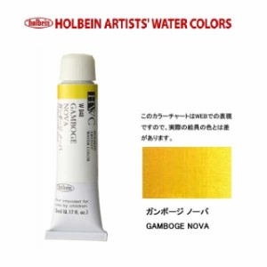 ホルベイン　Holbein　透明水彩2号（5ml) W048 ガンボージノーバ