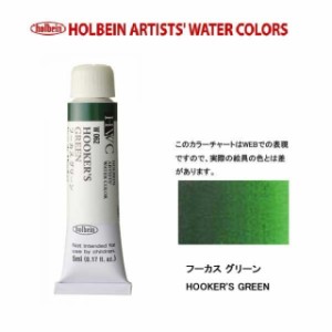 ホルベイン　Holbein　透明水彩2号（5ml) W062 フーカスグリーン