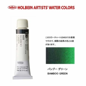 ホルベイン　Holbein　透明水彩2号（5ml) W078 バンブーグリーン