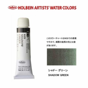 ホルベイン　Holbein　透明水彩2号（5ml) W079 シャドーグリーン