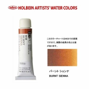 ホルベイン　Holbein　透明水彩2号（5ml) W134 バーントシェンナ