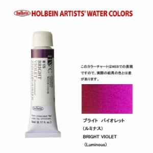 ホルベイン Holbein　透明水彩 2号（5ml)　W175 ブライトバイオレット（ルミナス）