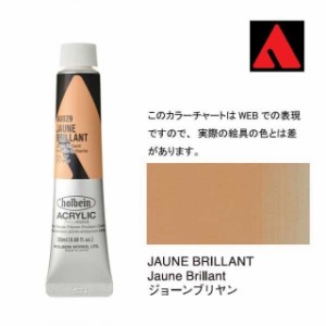 ホルベイン アクリリックカラー 6号（20ml） AU029 ジョーン ブリヤン