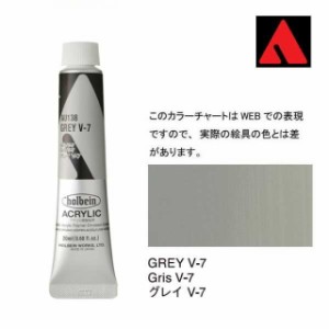 ホルベイン アクリリックカラー 6号（20ml） AU138 グレイ V-7