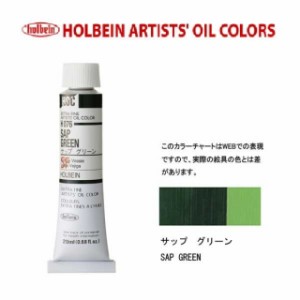 ホルベイン 油絵具6号(20ml) H076 サップグリーン
