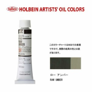 ホルベイン 油絵具 6号(20ml) H142 ローアンバー
