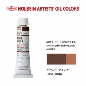 ホルベイン 油絵具6号(20ml) H145 バーントシェンナ