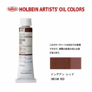 ホルベイン 油絵具6号(20ml) H146 インデアンレッド