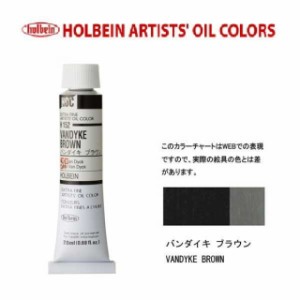 ホルベイン 油絵具6号(20ml) H152 バンダイキブラウン