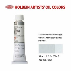 ホルベイン 油絵具 6号(20ml) H169 ニュートラルグレイ