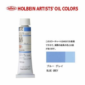 ホルベイン 油絵具 6号(20ml) H170 ブルーグレイ