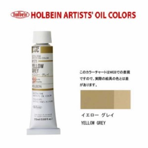 ホルベイン 油絵具 6号(20ml) H171 イエローグレイ