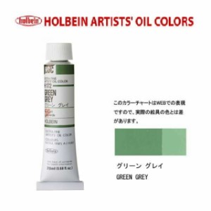ホルベイン　油絵具 6号(20ml)　H172 グリーングレイ