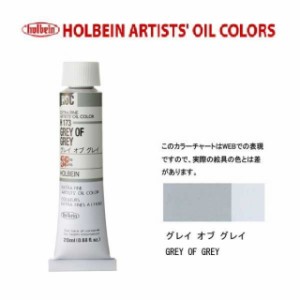 ホルベイン　油絵具 6号(20ml) H173 グレイオブグレイ