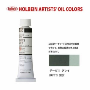 ホルベイン　油絵具 6号(20ml) H175 デービスグレイ