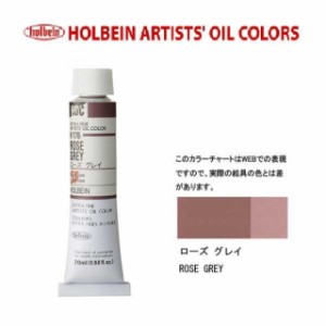 ホルベイン　油絵具 6号(20ml) H176 ローズグレイ