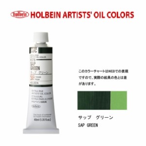 ホルベイン　油絵具 9号(40ml) H276 サップグリーン